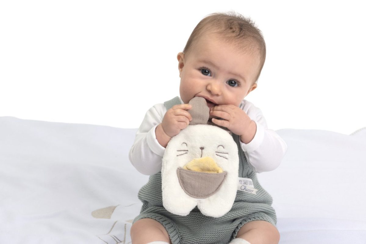 Coelhinho Dou Dou Porta Chupeta Chicco - Image 3